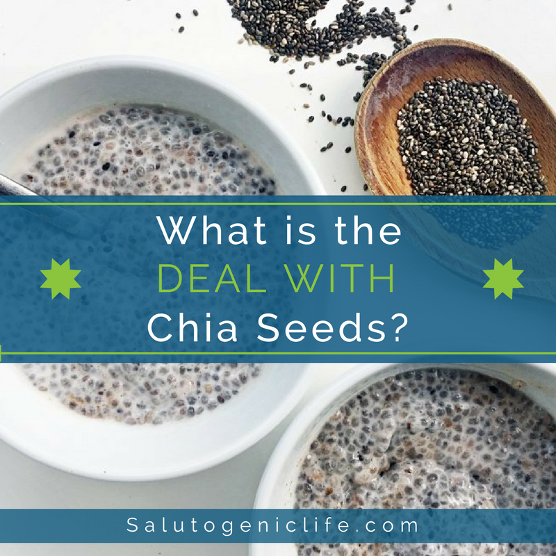 All About Chia Seeds